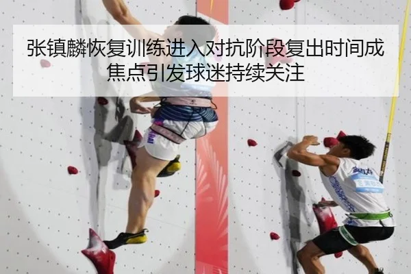 张镇麟恢复训练进入对抗阶段复出时间成焦点引发球迷持续关注