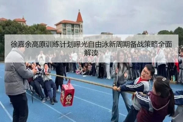 徐嘉余高原训练计划曝光自由泳新周期备战策略全面解读